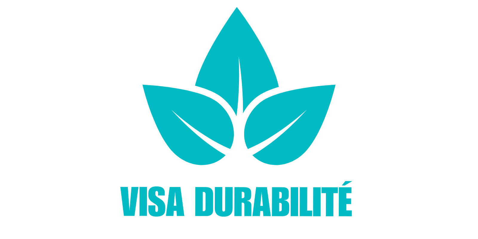 Visa durabilité